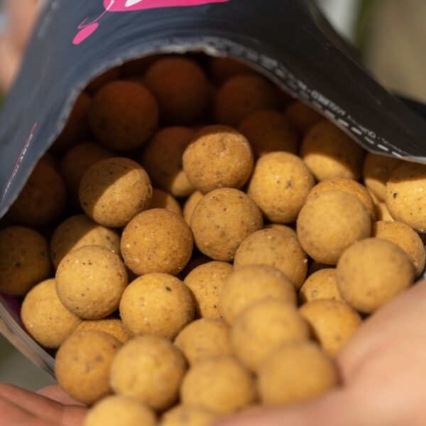 Mainline Cell Shelf Life Boilies - Image 3