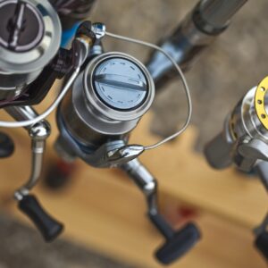 Fishing Reels